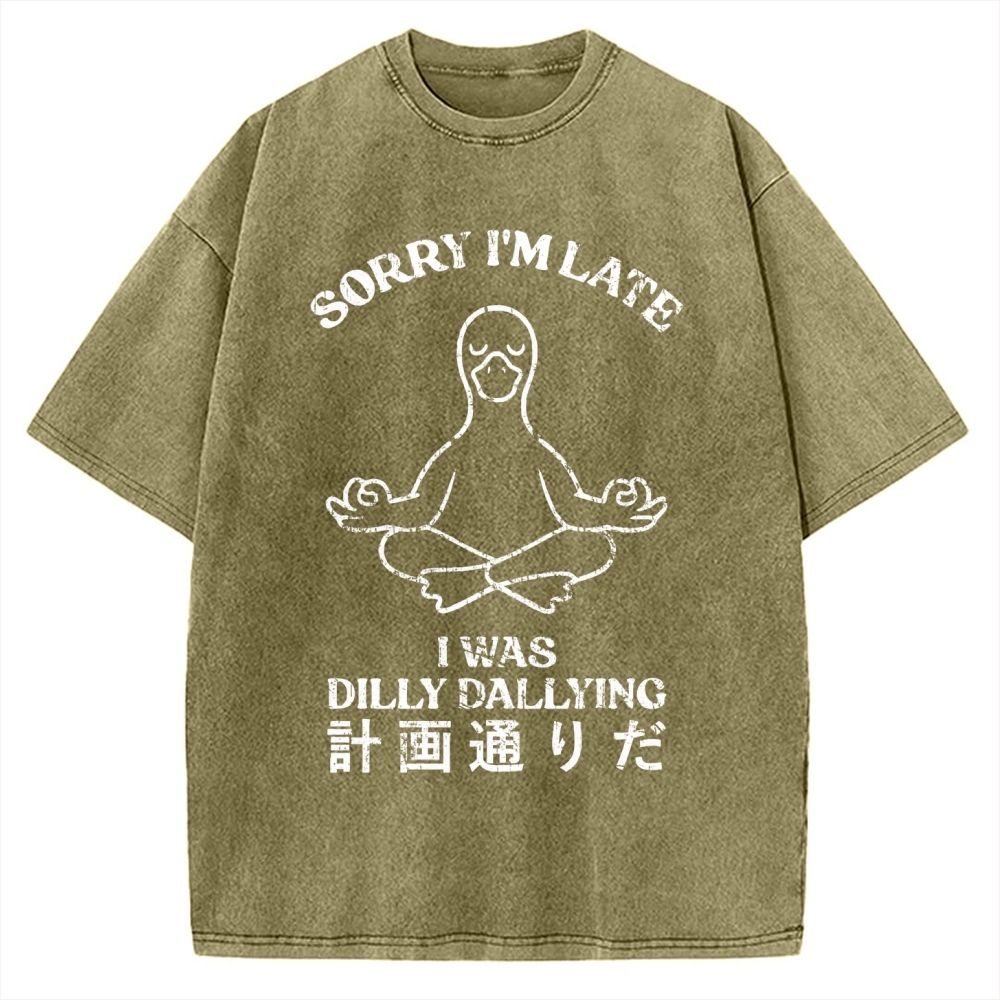 Sorry I'm Late I Was Dilly Dallying Vintage Washed T-shirt