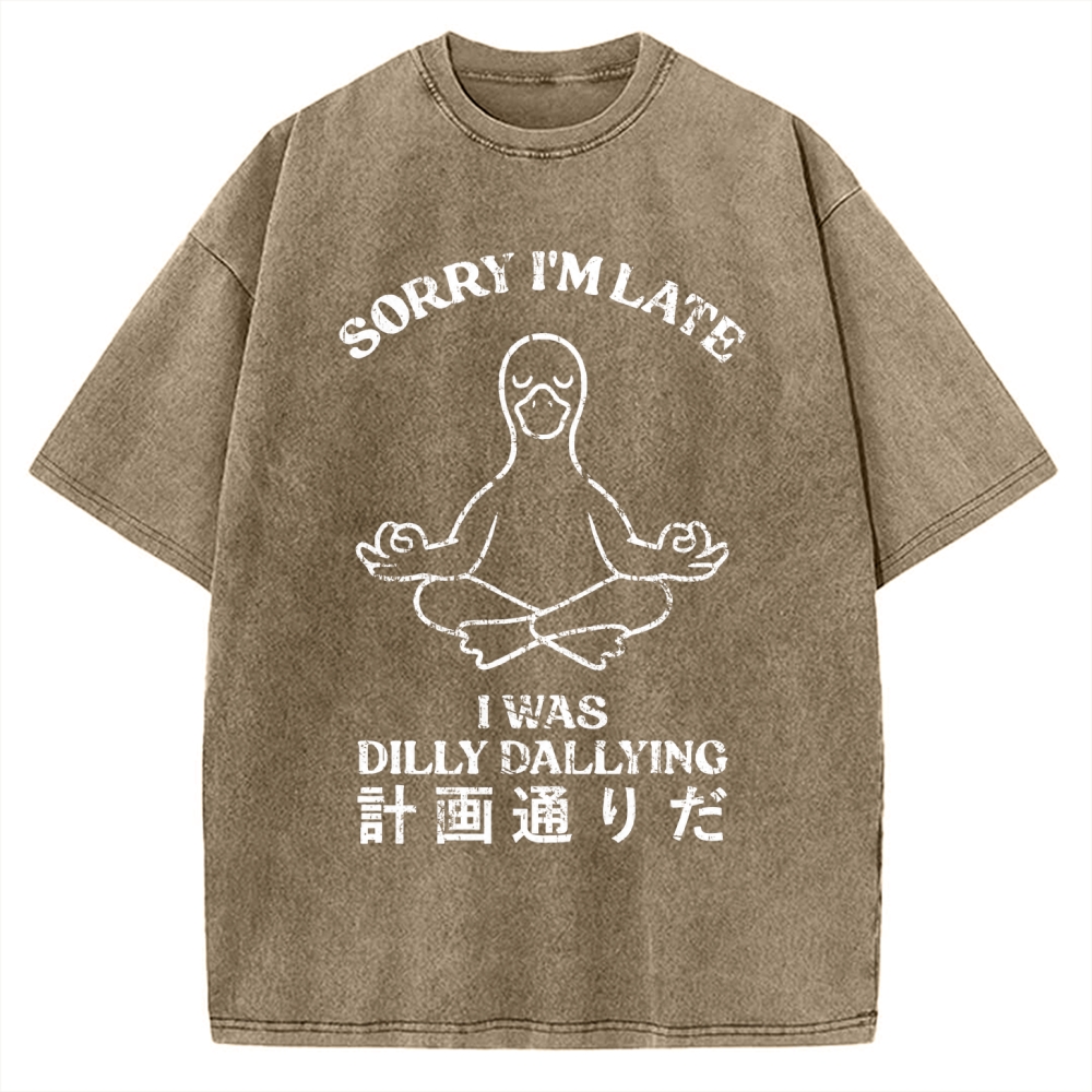 Sorry I'm Late I Was Dilly Dallying Vintage Washed T-shirt