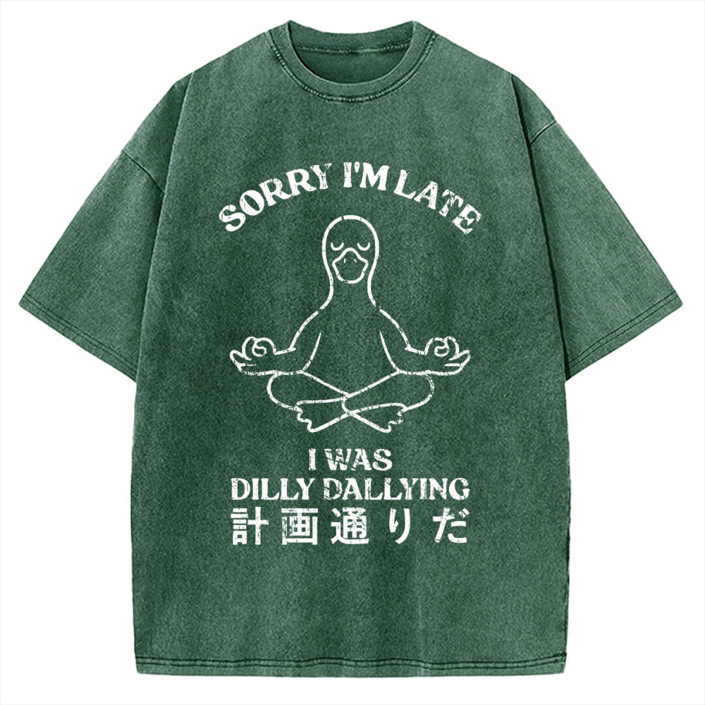 Sorry I'm Late I Was Dilly Dallying Vintage Washed T-shirt