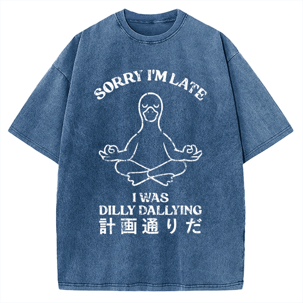 Sorry I'm Late I Was Dilly Dallying Vintage Washed T-shirt