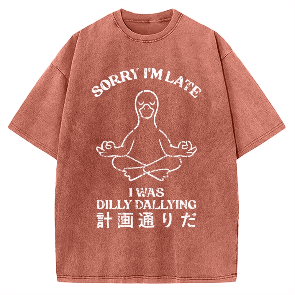 Sorry I'm Late I Was Dilly Dallying Vintage Washed T-shirt