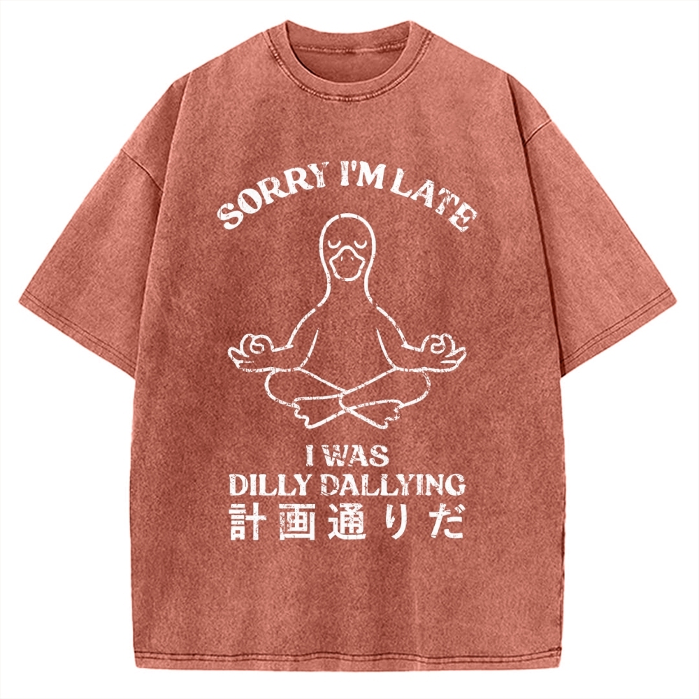 Sorry I'm Late I Was Dilly Dallying Vintage Washed T-shirt