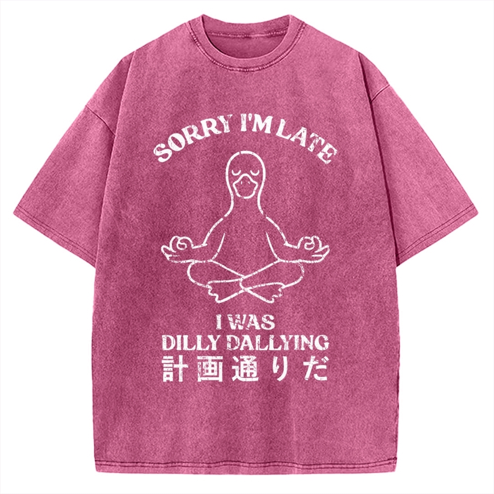 Sorry I'm Late I Was Dilly Dallying Vintage Washed T-shirt