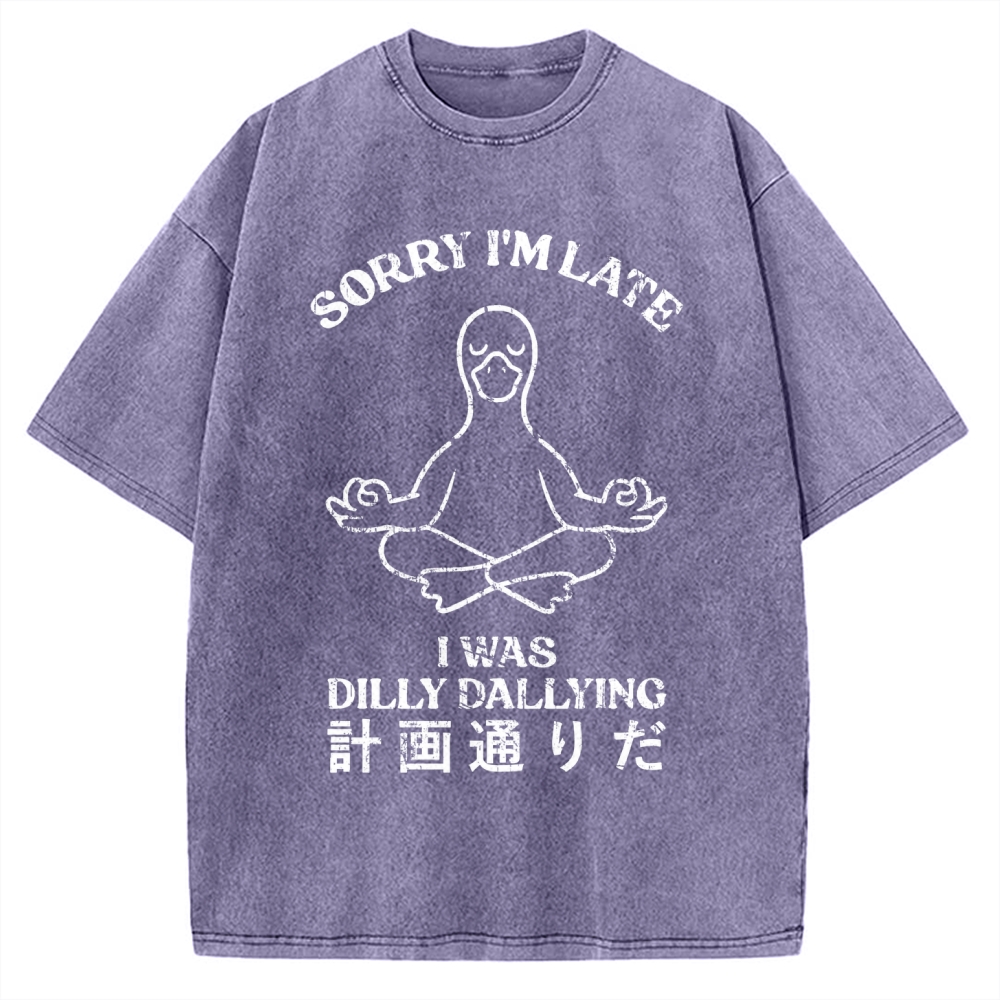 Sorry I'm Late I Was Dilly Dallying Vintage Washed T-shirt