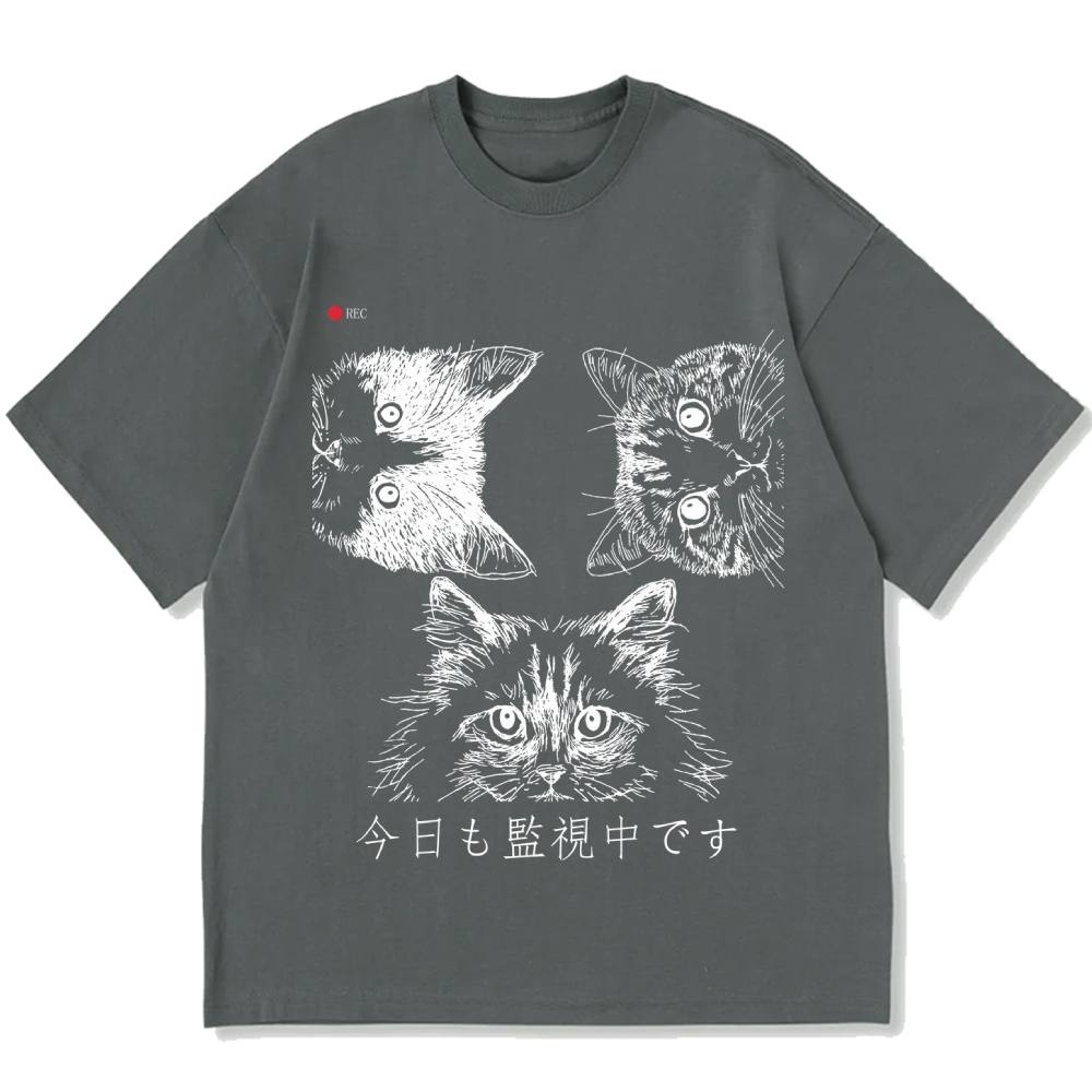 The Cats Is Watching You Today Cotton casual T-shirt