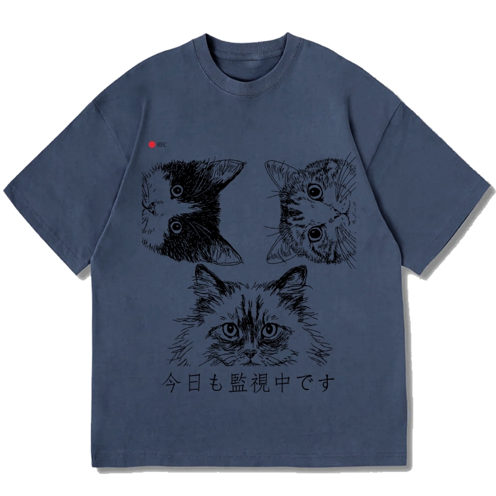 The Cats Is Watching You Today Cotton casual T-shirt
