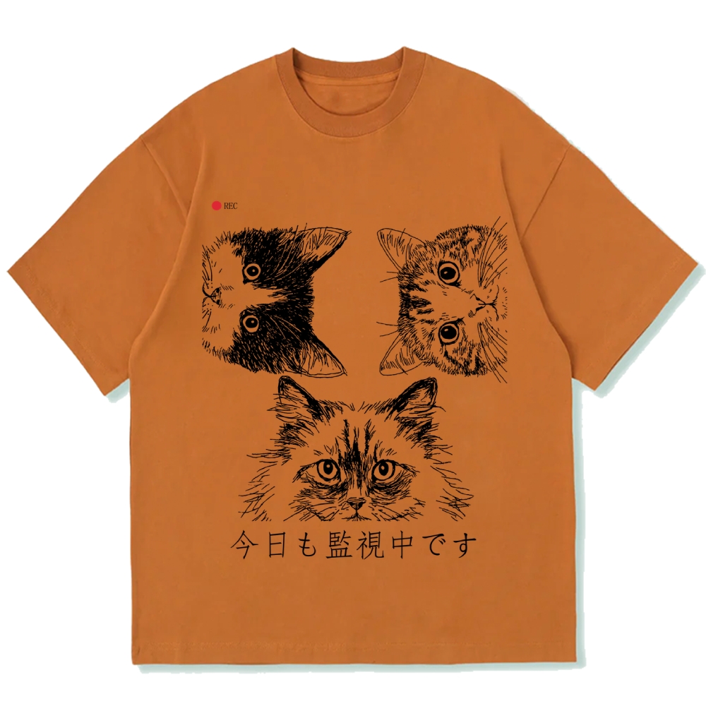 The Cats Is Watching You Today Cotton casual T-shirt