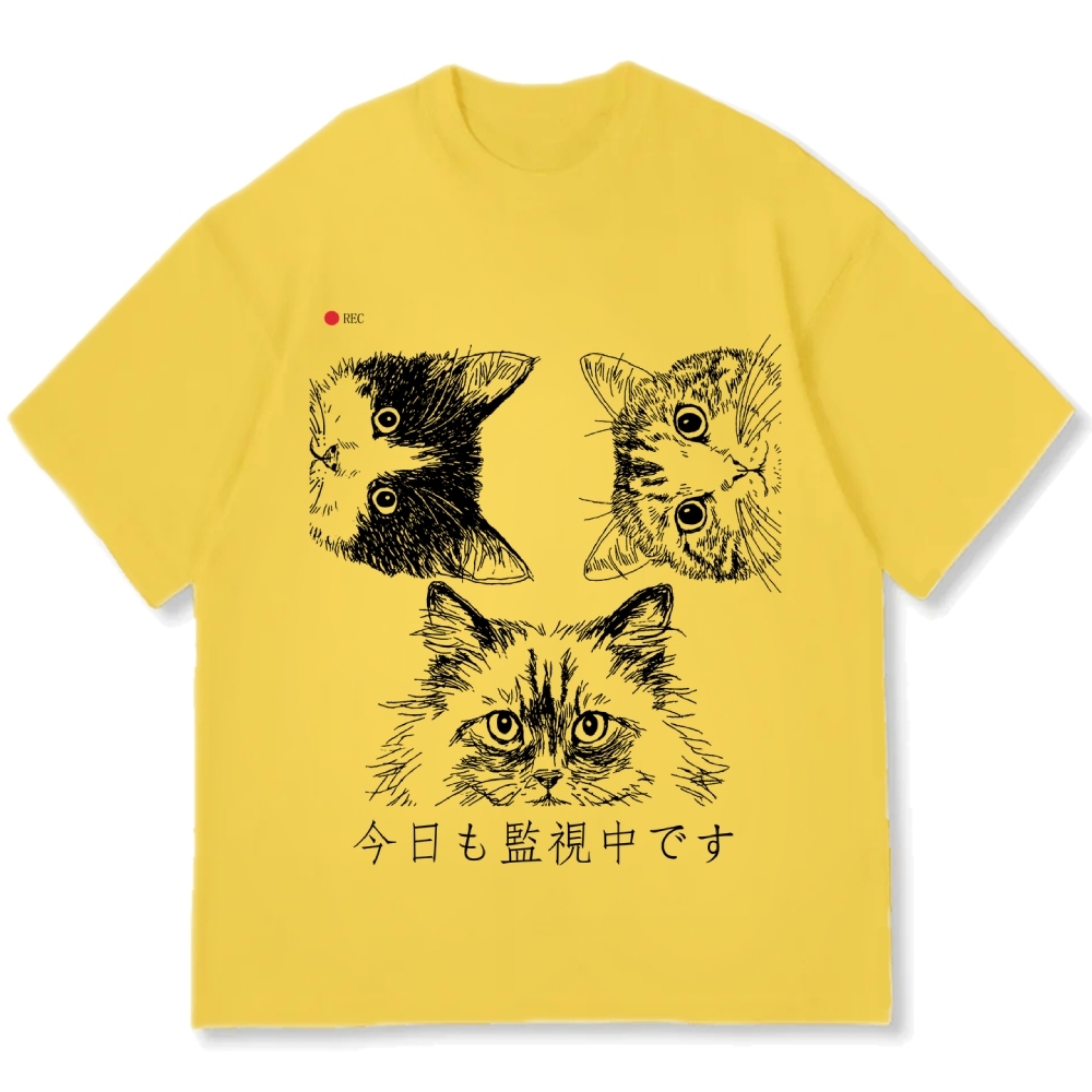The Cats Is Watching You Today Cotton casual T-shirt