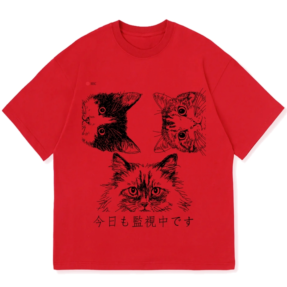 The Cats Is Watching You Today Cotton casual T-shirt