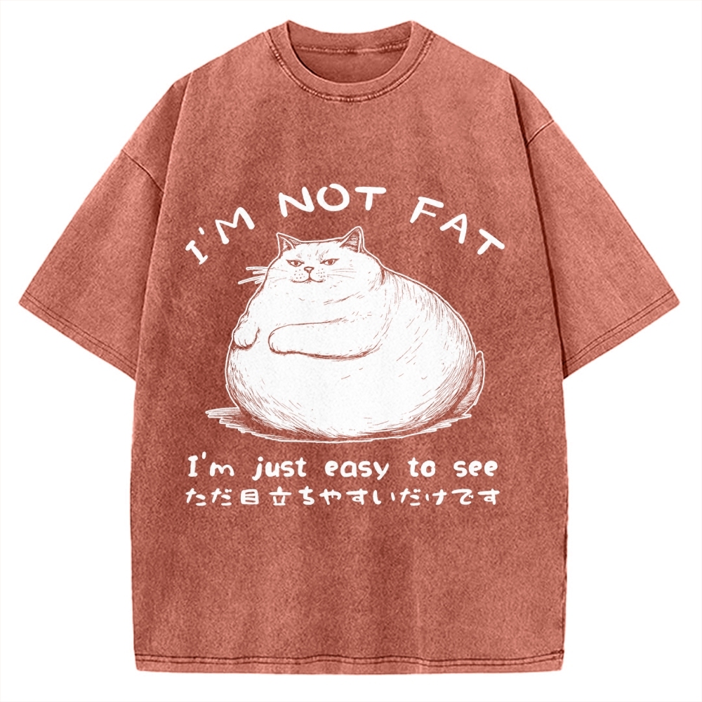 Funny Cat Fat Just Easy To See Vintage Washed T-shirt
