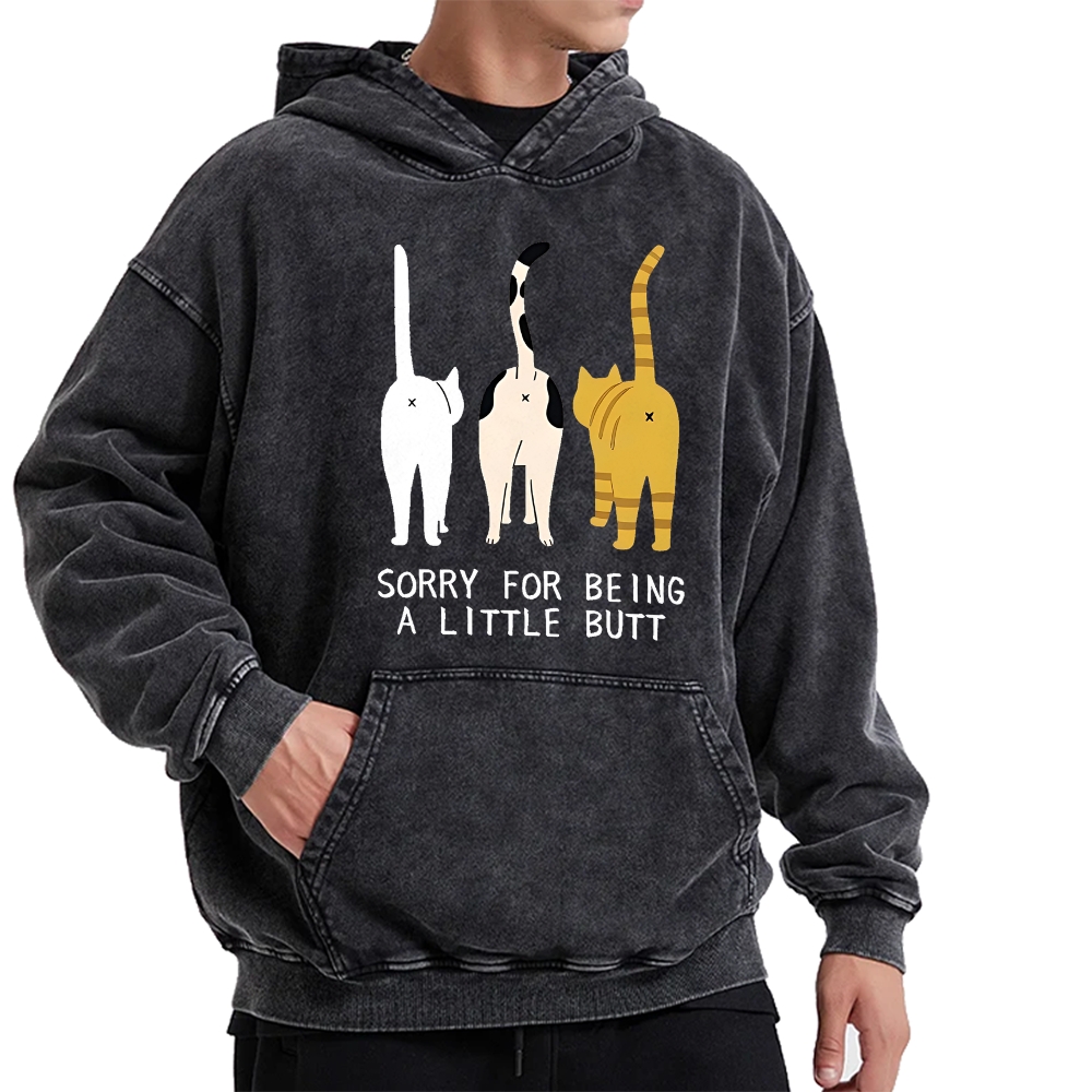 Cat's Butt Funny Vintage Washed Hoodie