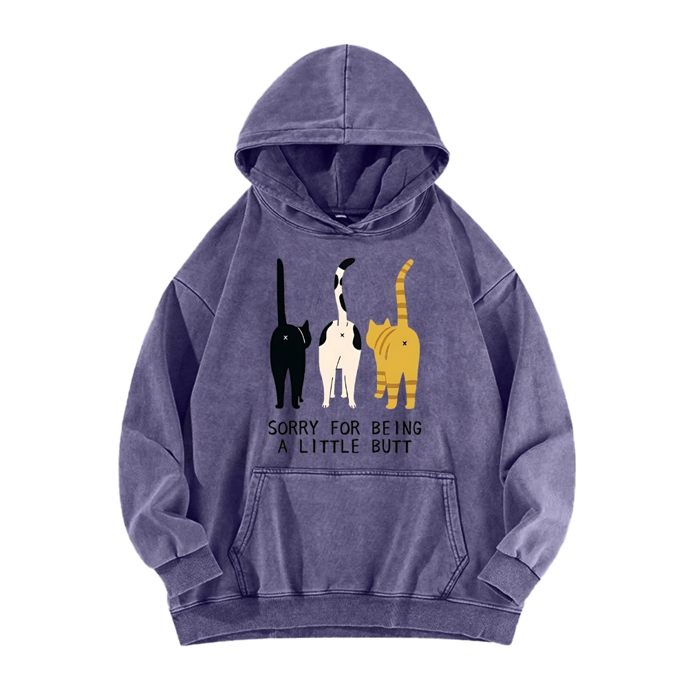 Cat's Butt Funny Vintage Washed Hoodie