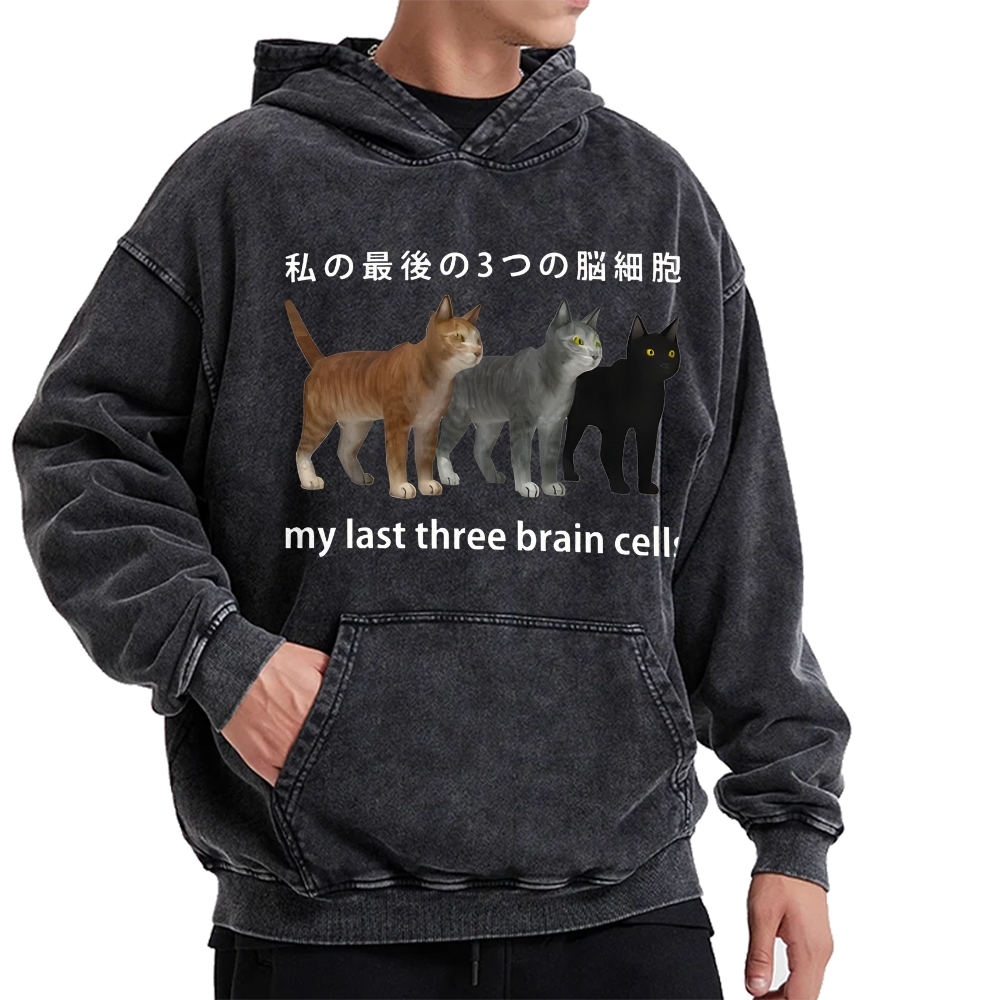 Last three brain cells Cats Vintage Washed Hoodie