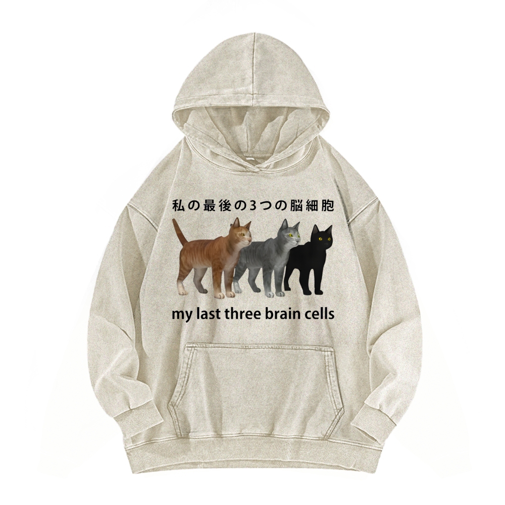 Last three brain cells Cats Vintage Washed Hoodie