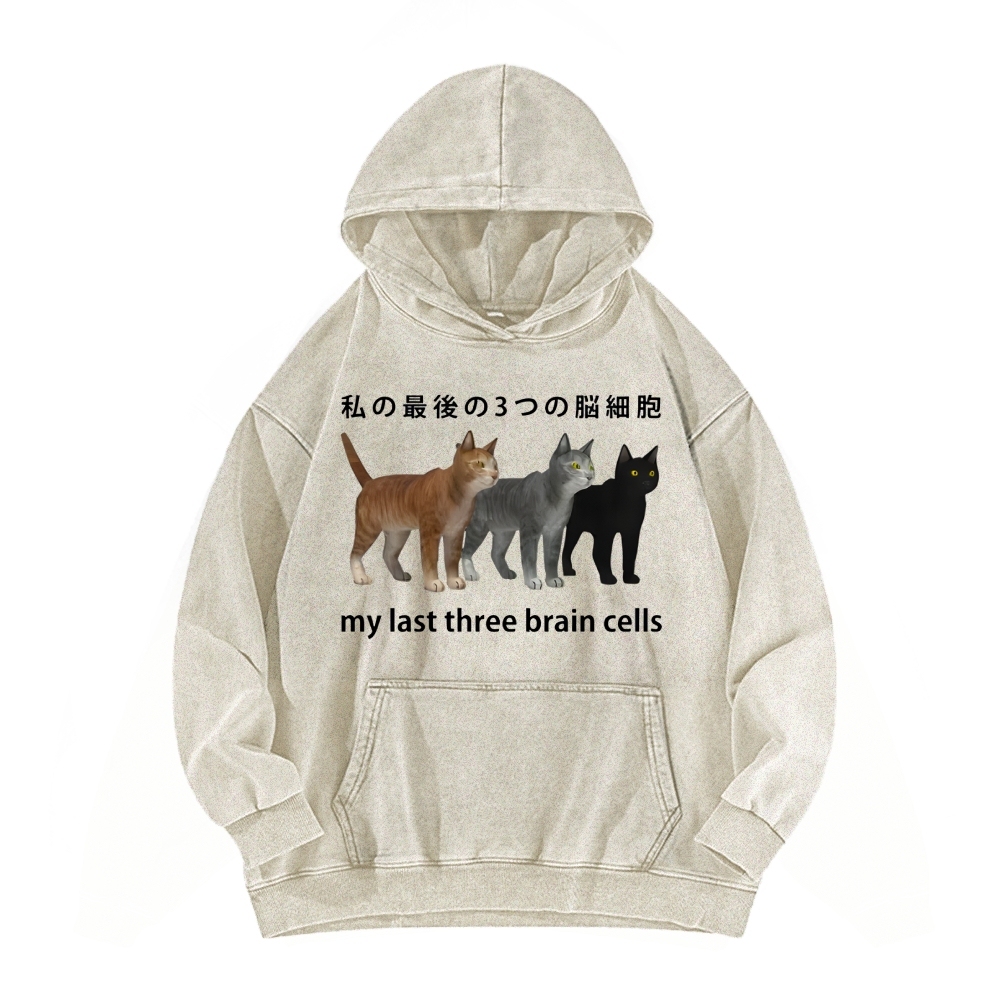Last three brain cells Cats Vintage Washed Hoodie