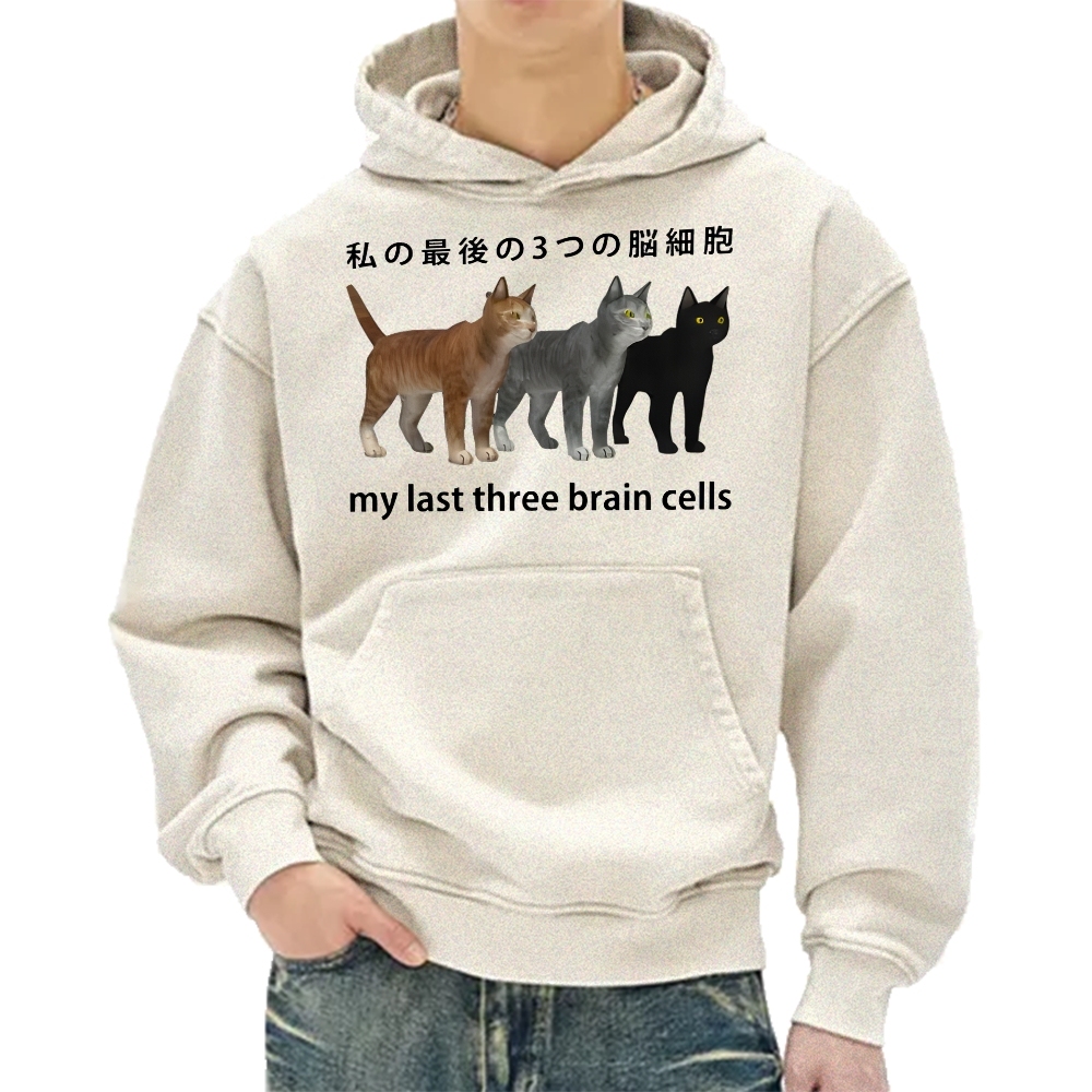 Last three brain cells Cats Vintage Washed Hoodie