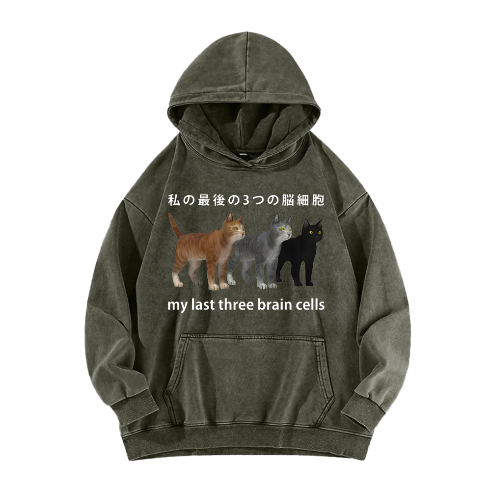 Last three brain cells Cats Vintage Washed Hoodie