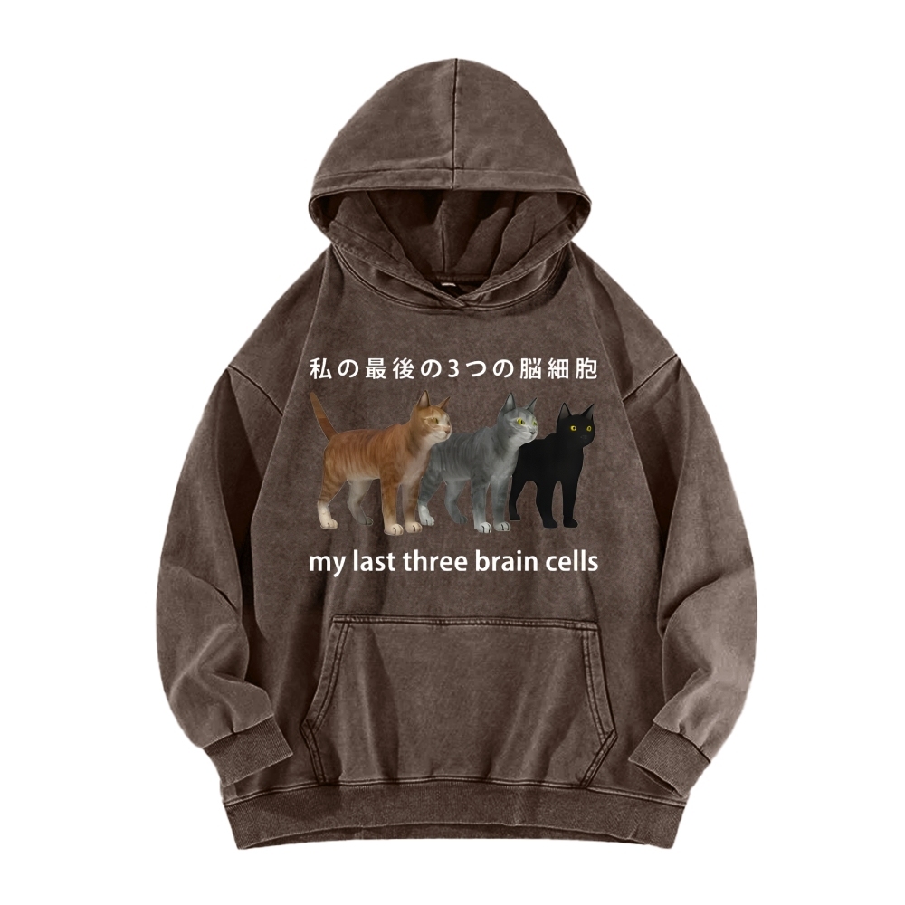 Last three brain cells Cats Vintage Washed Hoodie