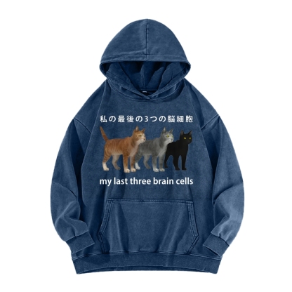 Last three brain cells Cats Vintage Washed Hoodie
