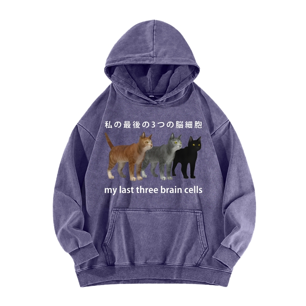 Last three brain cells Cats Vintage Washed Hoodie