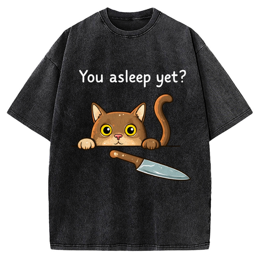 Cat With Murderous Intent Vintage Washed T-shirt
