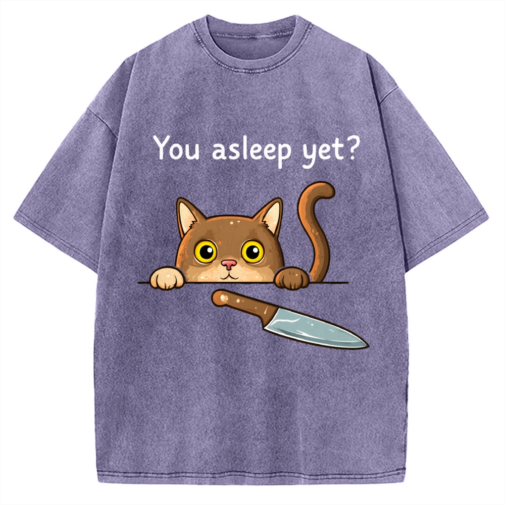 Cat With Murderous Intent Vintage Washed T-shirt