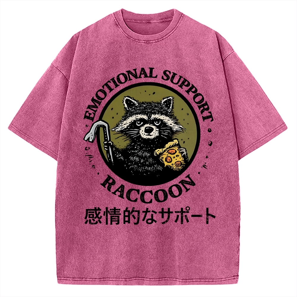 Emotional Support Raccoon Vintage Washed T-shirt