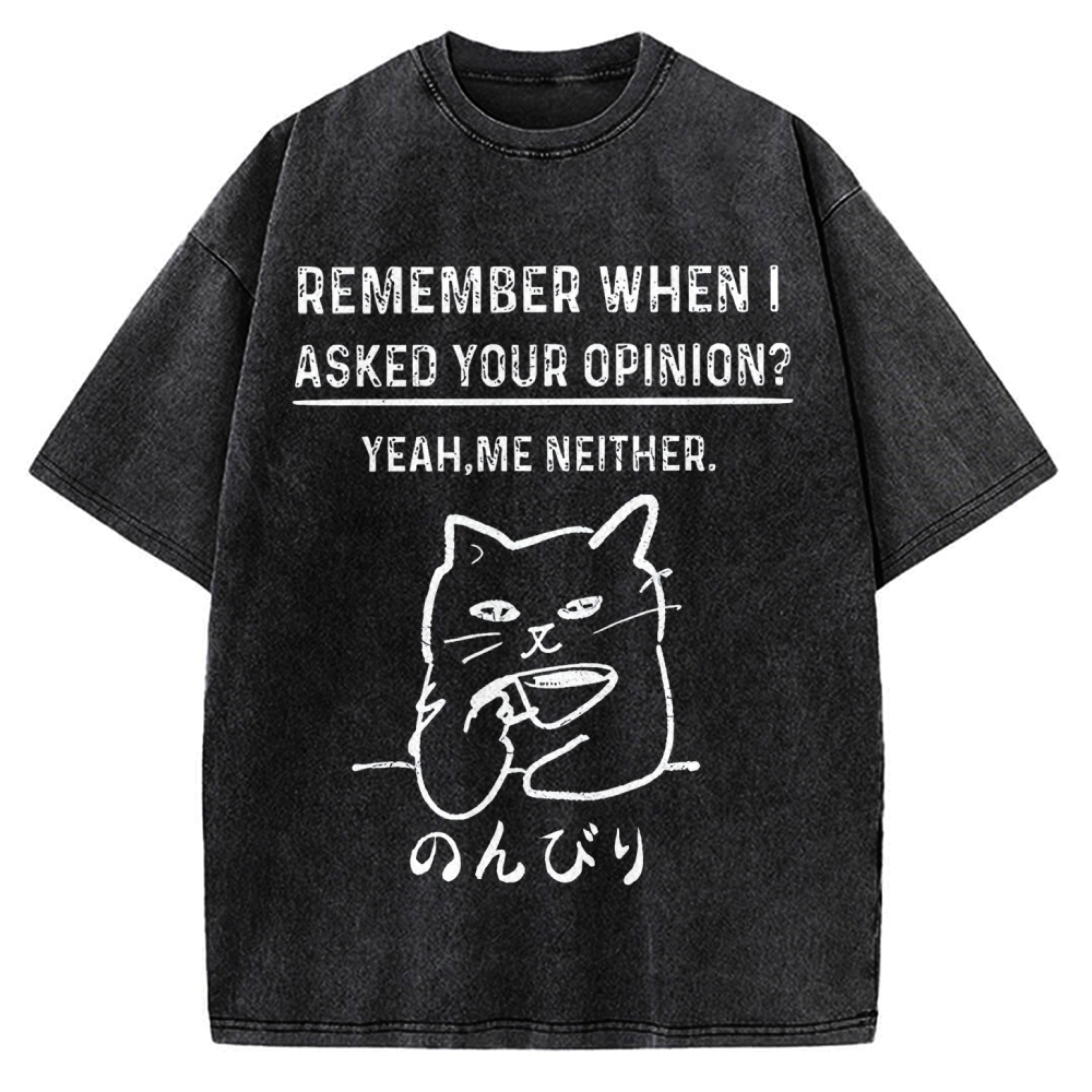 Cats Don't Accept Opinions Vintage Washed T-shirt
