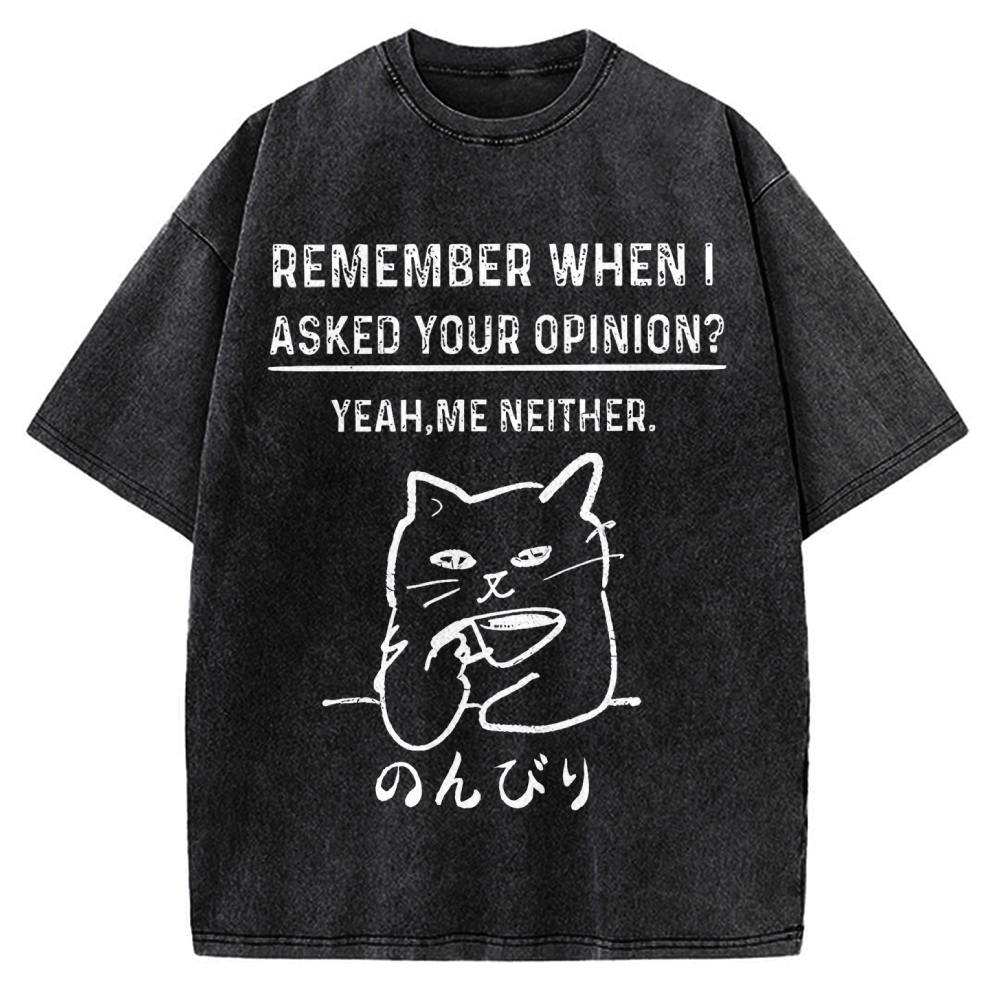 Cats Don't Accept Opinions Vintage Washed T-shirt