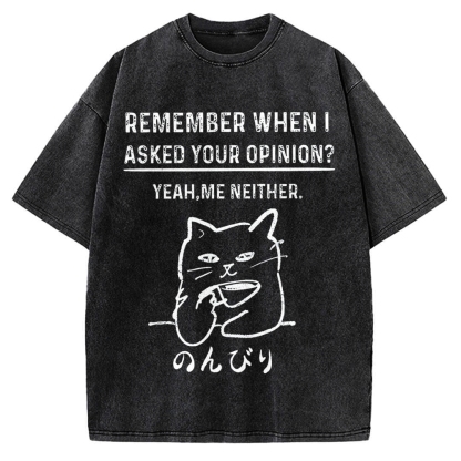 Cats Don't Accept Opinions Vintage Washed T-shirt