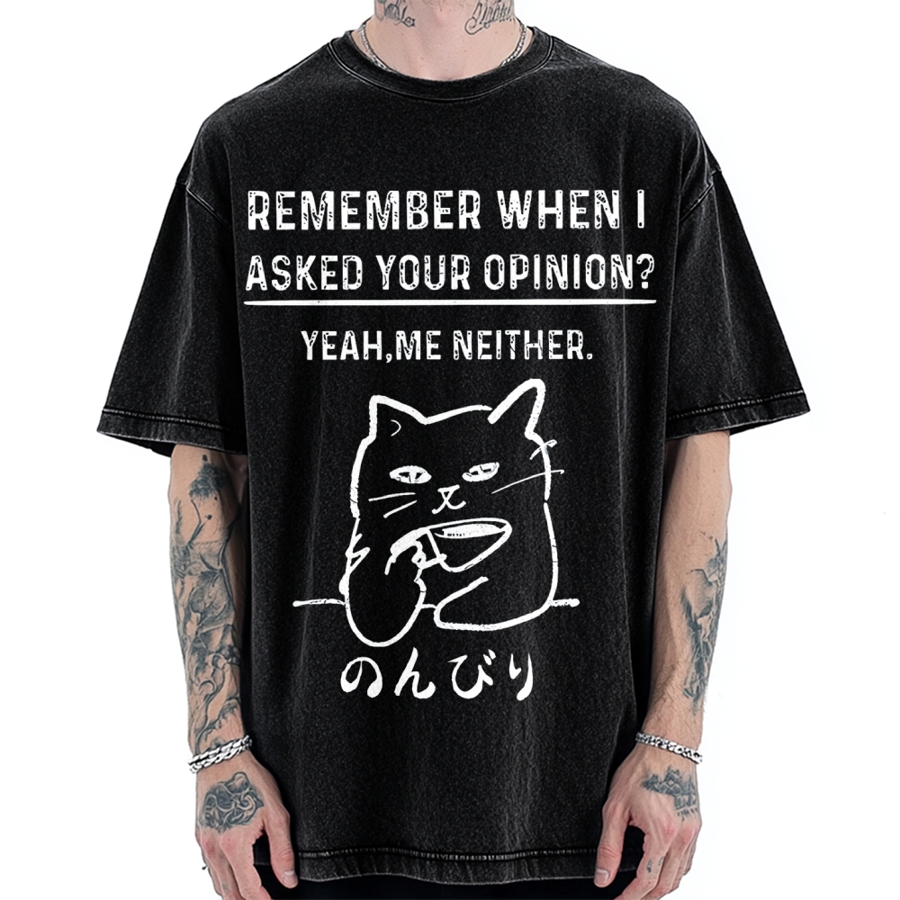 Cats Don't Accept Opinions Vintage Washed T-shirt
