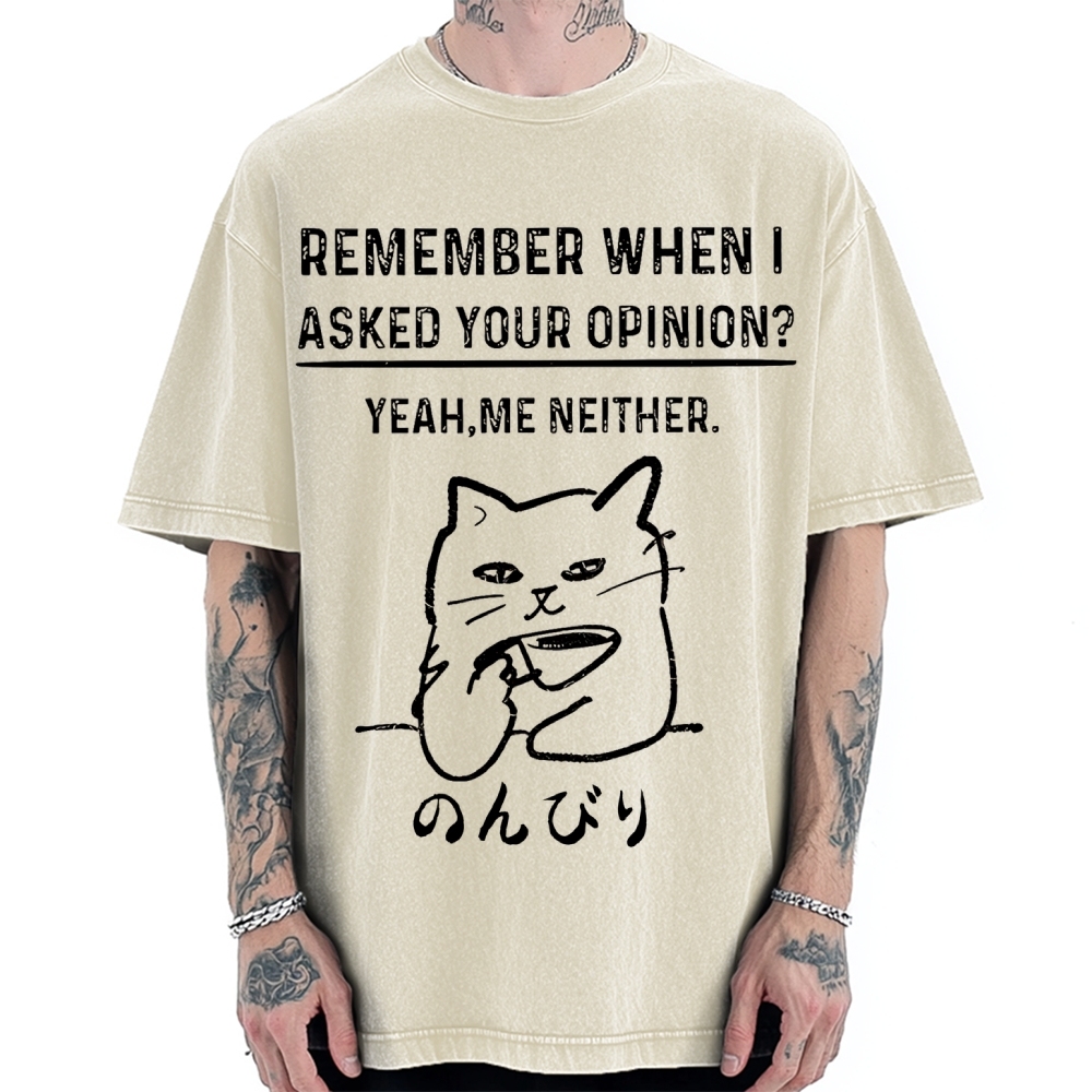 Cats Don't Accept Opinions Vintage Washed T-shirt