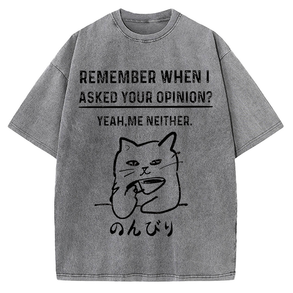 Cats Don't Accept Opinions Vintage Washed T-shirt