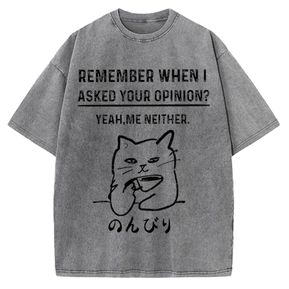 Cats Don't Accept Opinions Vintage Washed T-shirt