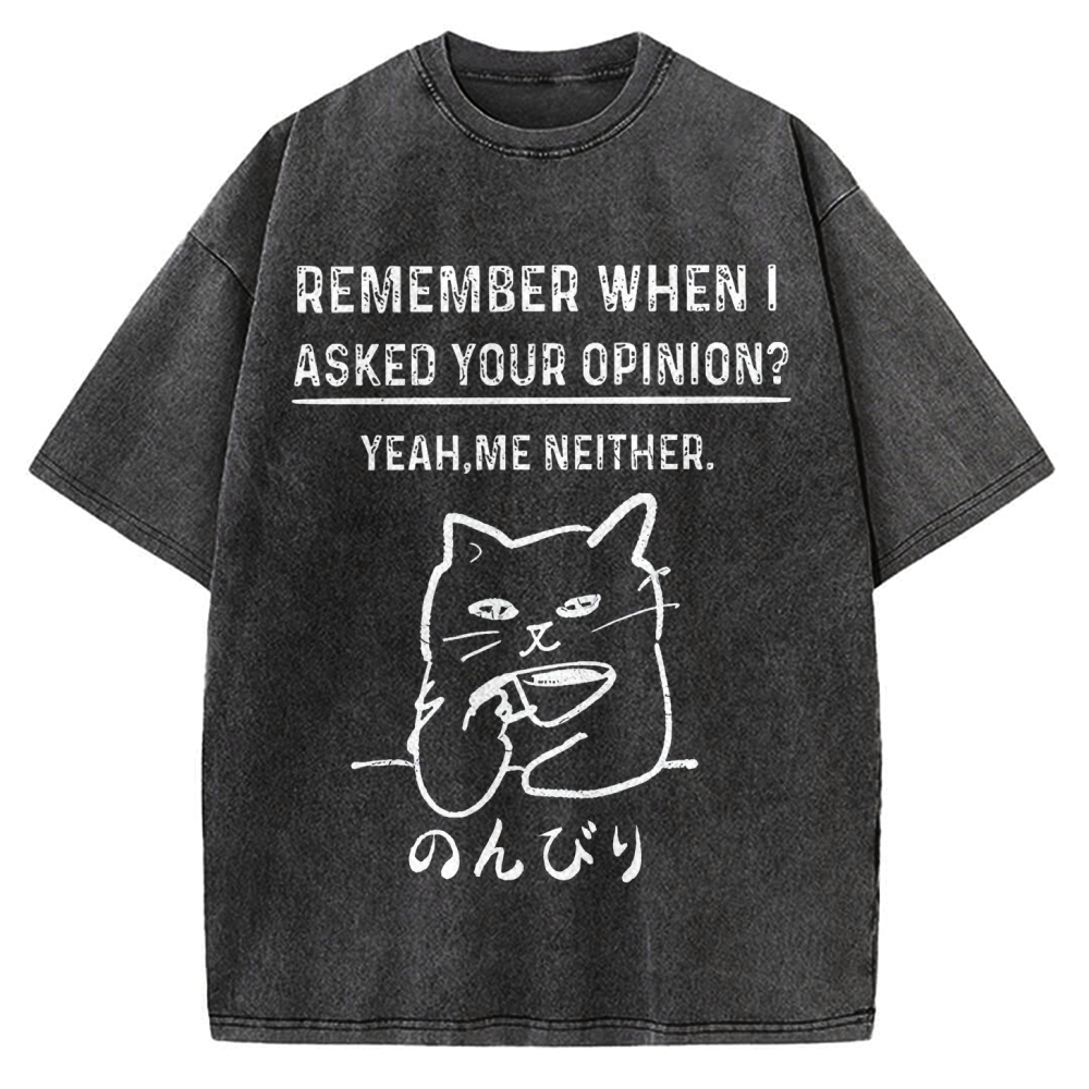 Cats Don't Accept Opinions Vintage Washed T-shirt