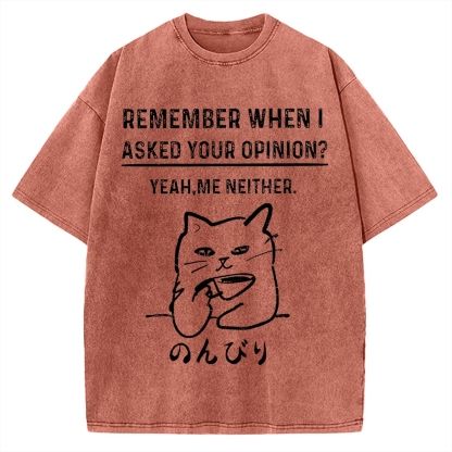 Cats Don't Accept Opinions Vintage Washed T-shirt