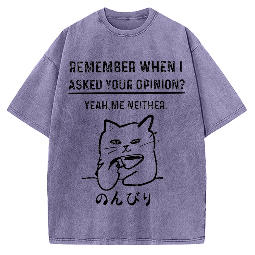 Cats Don't Accept Opinions Vintage Washed T-shirt
