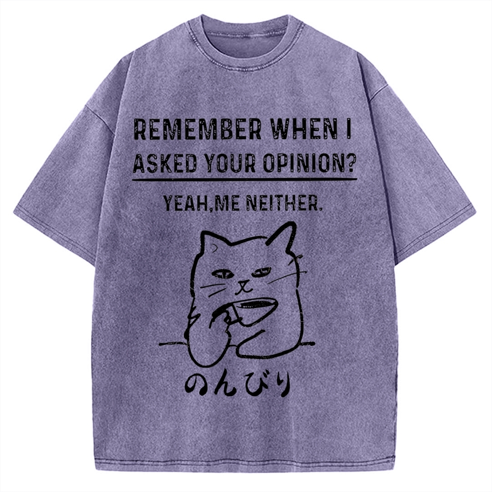 Cats Don't Accept Opinions Vintage Washed T-shirt