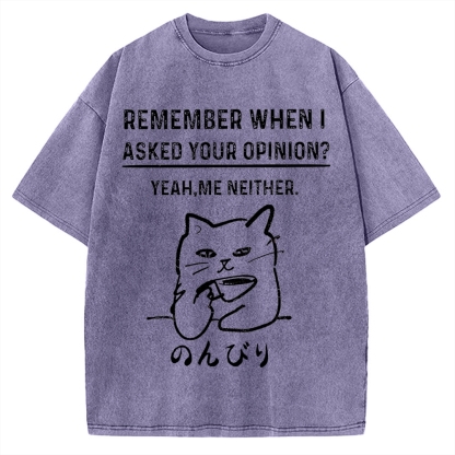 Cats Don't Accept Opinions Vintage Washed T-shirt
