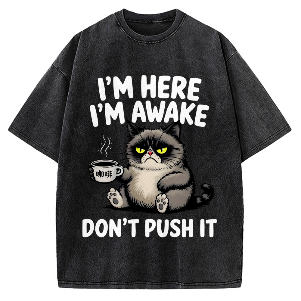 Tired Cat Vintage Washed T-shirt