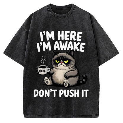 Tired Cat Vintage Washed T-shirt