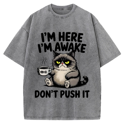 Tired Cat Vintage Washed T-shirt