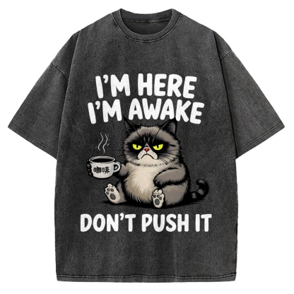 Tired Cat Vintage Washed T-shirt