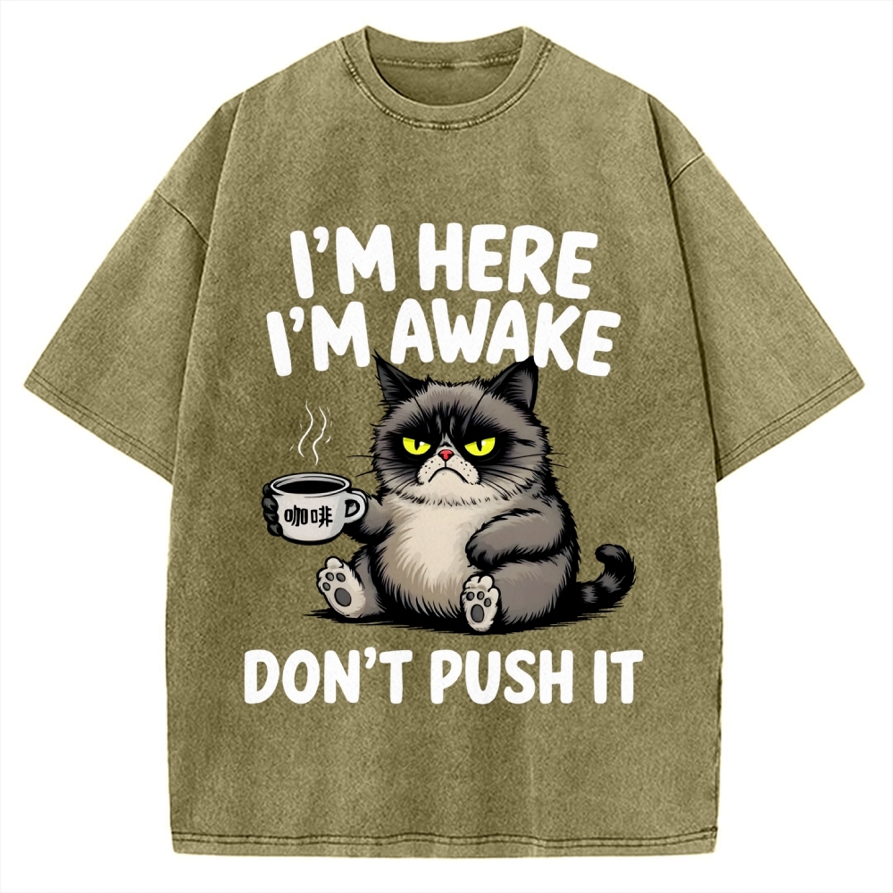 Tired Cat Vintage Washed T-shirt