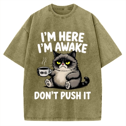 Tired Cat Vintage Washed T-shirt