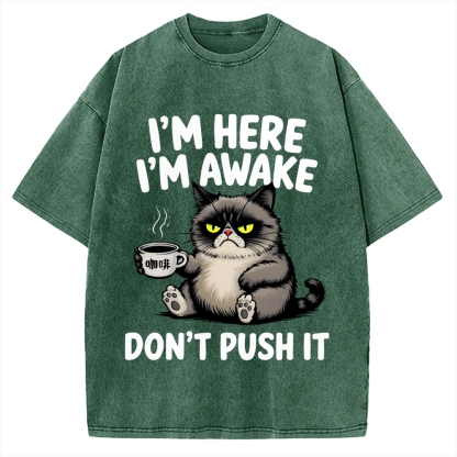 Tired Cat Vintage Washed T-shirt