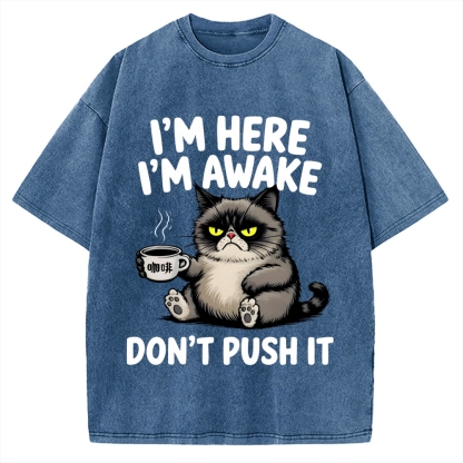 Tired Cat Vintage Washed T-shirt