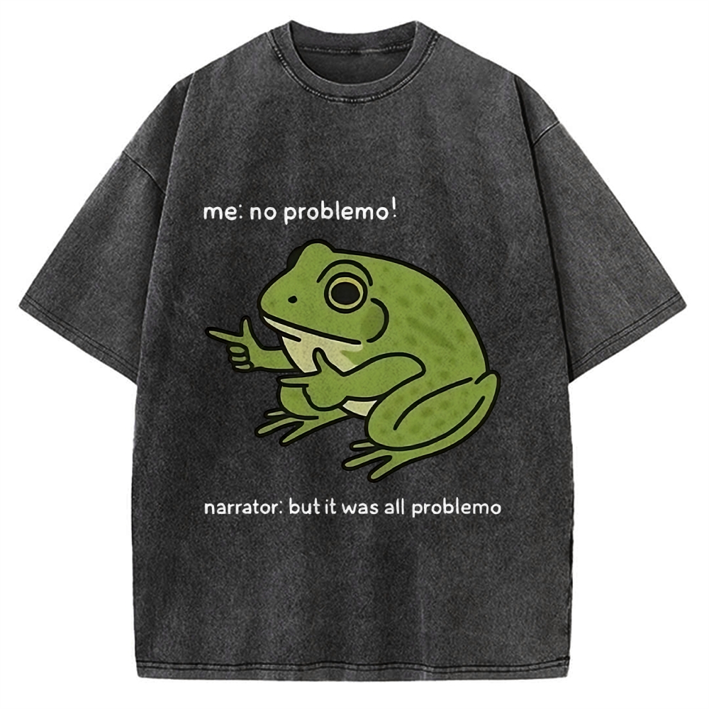 Frog Me No Problemo Narrator But It Was All Problemo Vintage Washed T-shirt