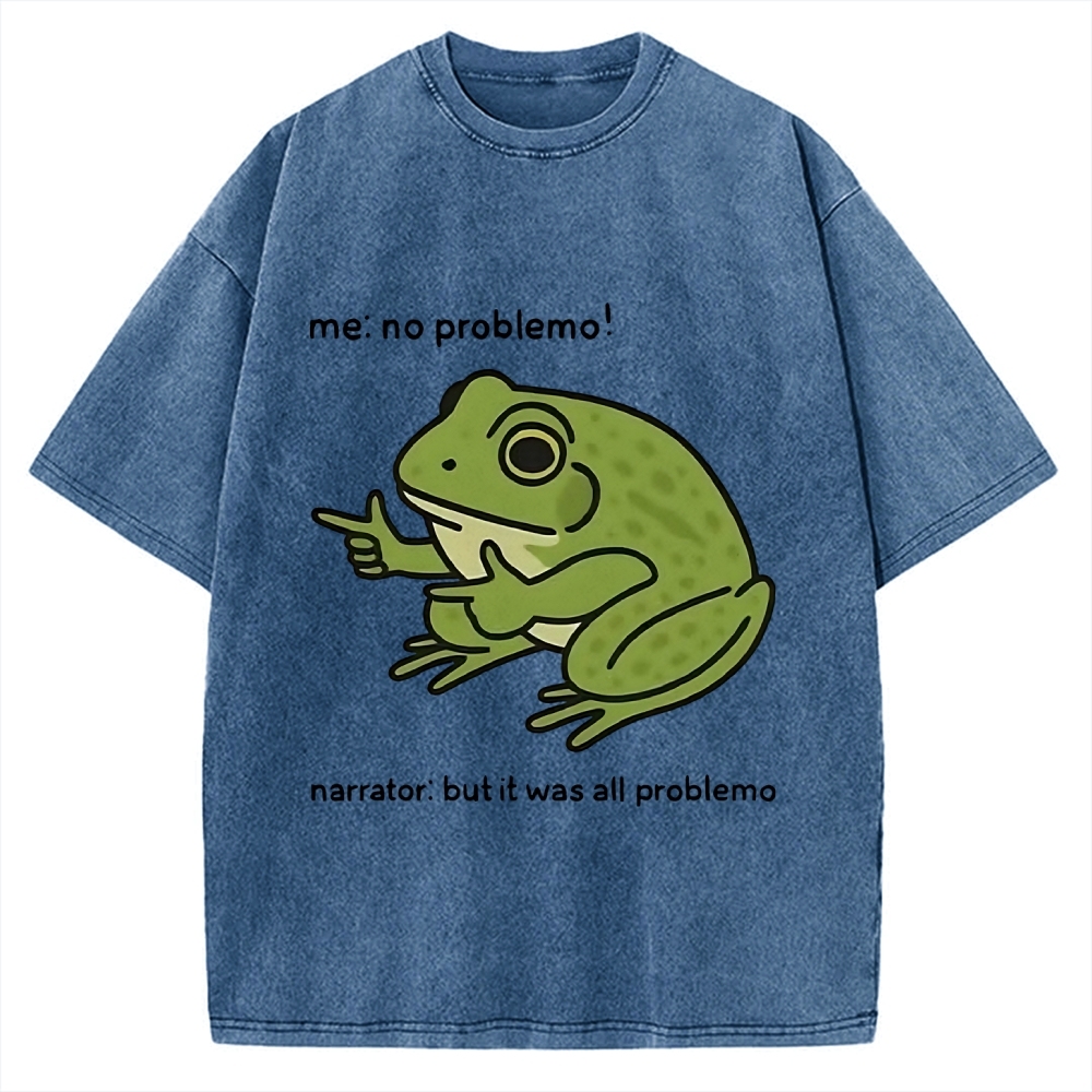 Frog Me No Problemo Narrator But It Was All Problemo Vintage Washed T-shirt