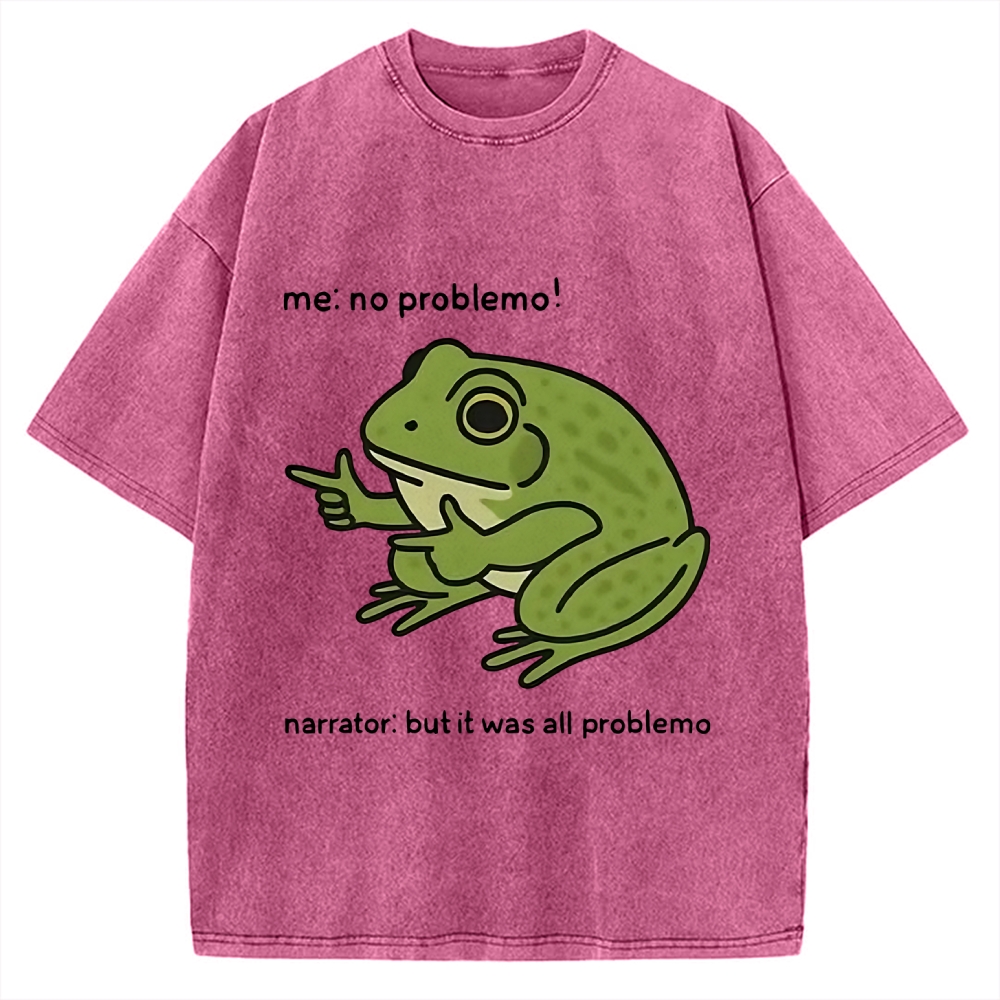 Frog Me No Problemo Narrator But It Was All Problemo Vintage Washed T-shirt
